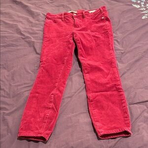 anthro pilcro magenta Corduroy Jeans